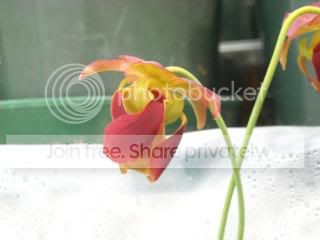 DSCN0512.jpg