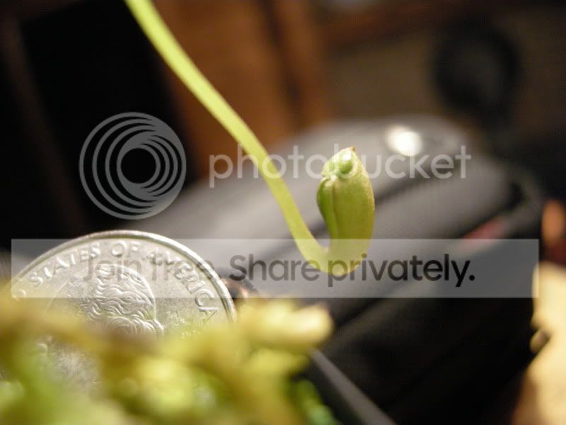 DSCN5645.jpg