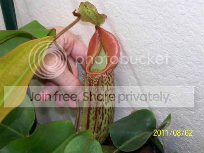 100_4962.jpg