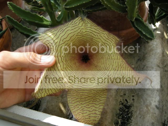 DSCN8245.jpg