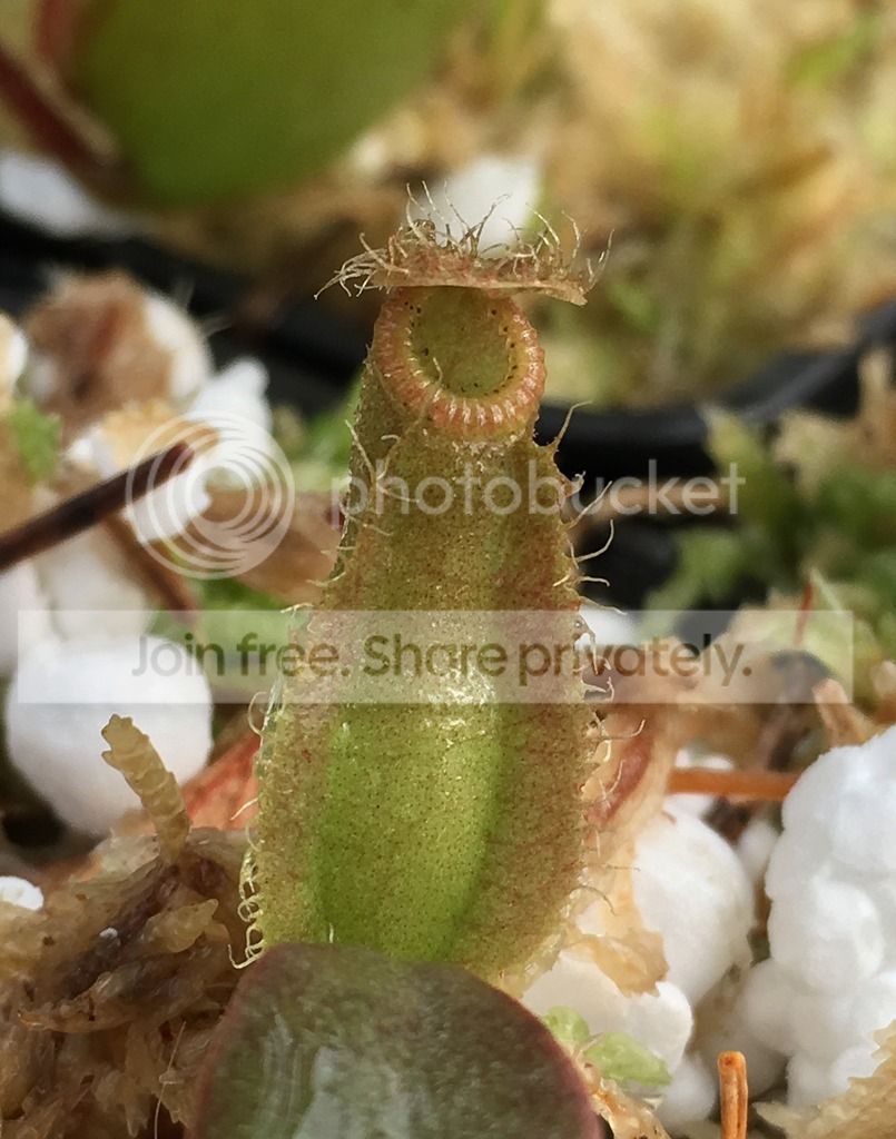 4B57434E-FB96-4ED1-AE7D-17AF44ABF091.jpg