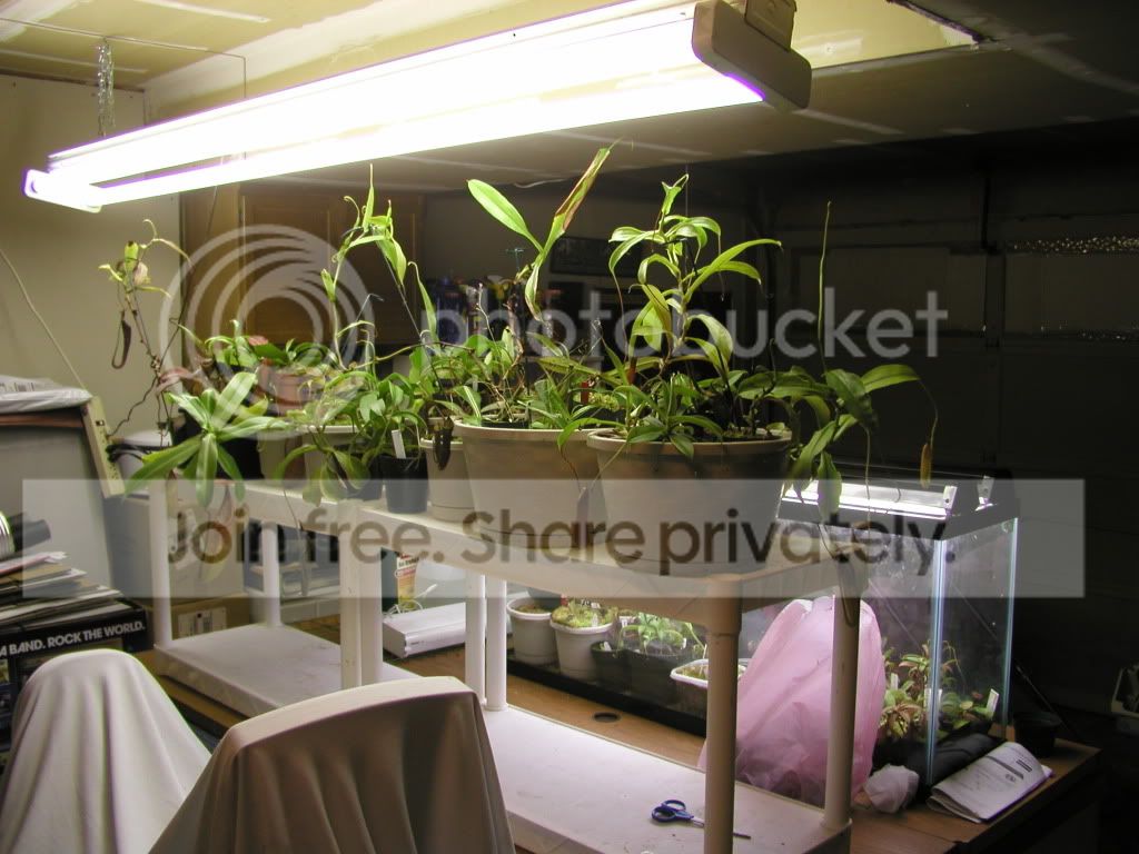 P1010006-7.jpg