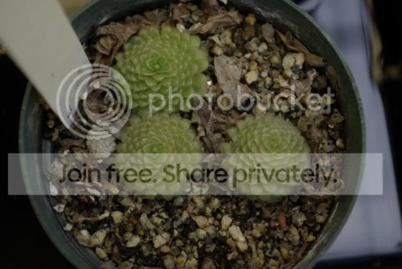 _IGP0251.jpg