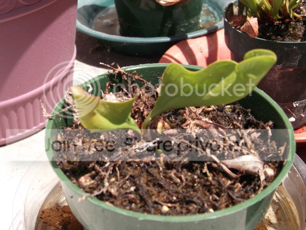 DSCF0098.jpg