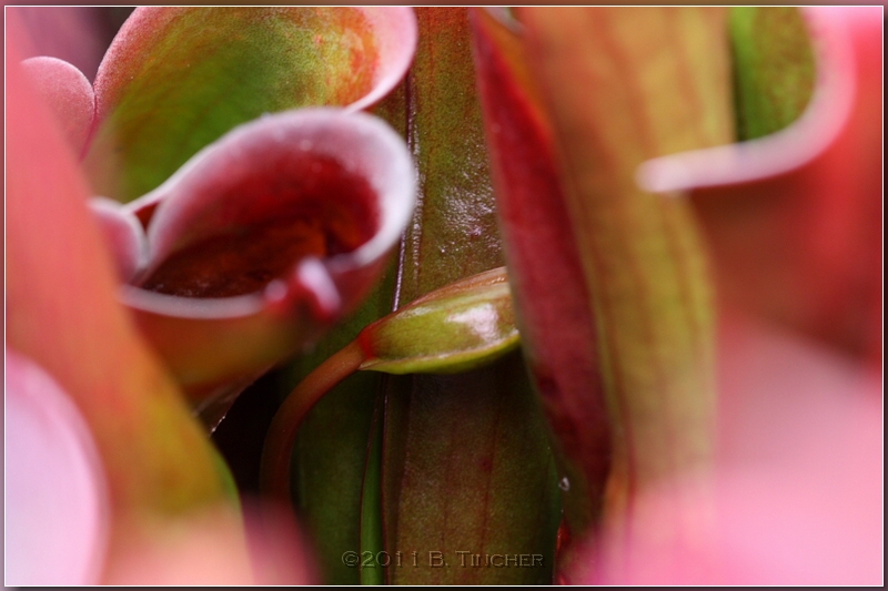 DPP_0149_hf.jpg