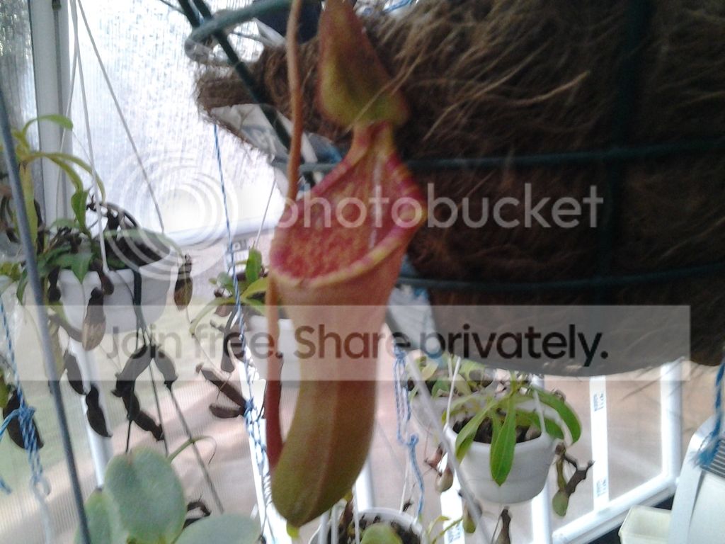 20120716_172821.jpg