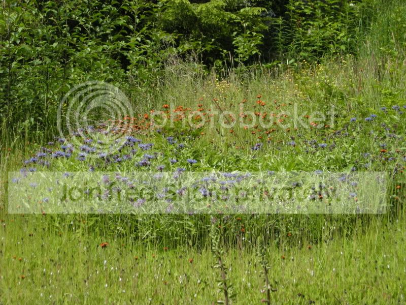 DSCN6073.jpg