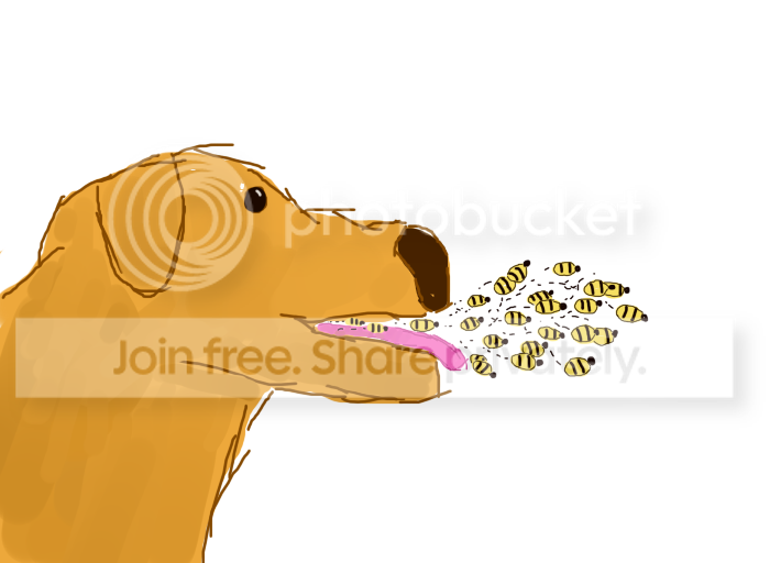 Dog-1.png