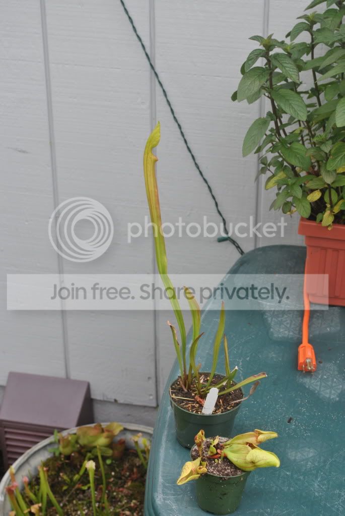 June2011270.jpg