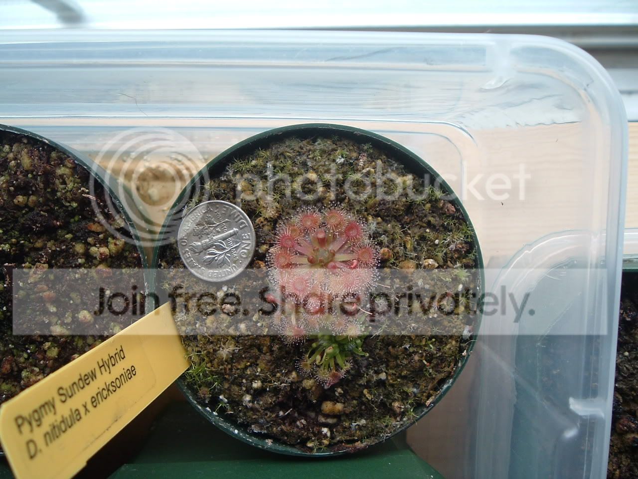 DSCF2634.jpg