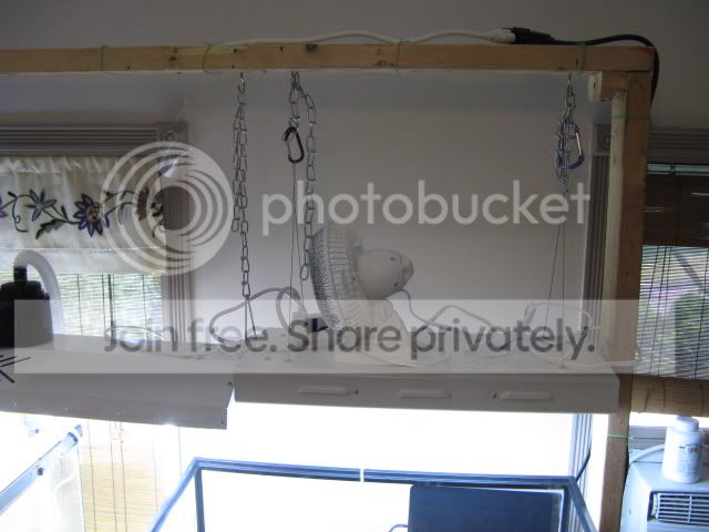 IMG_5710.jpg