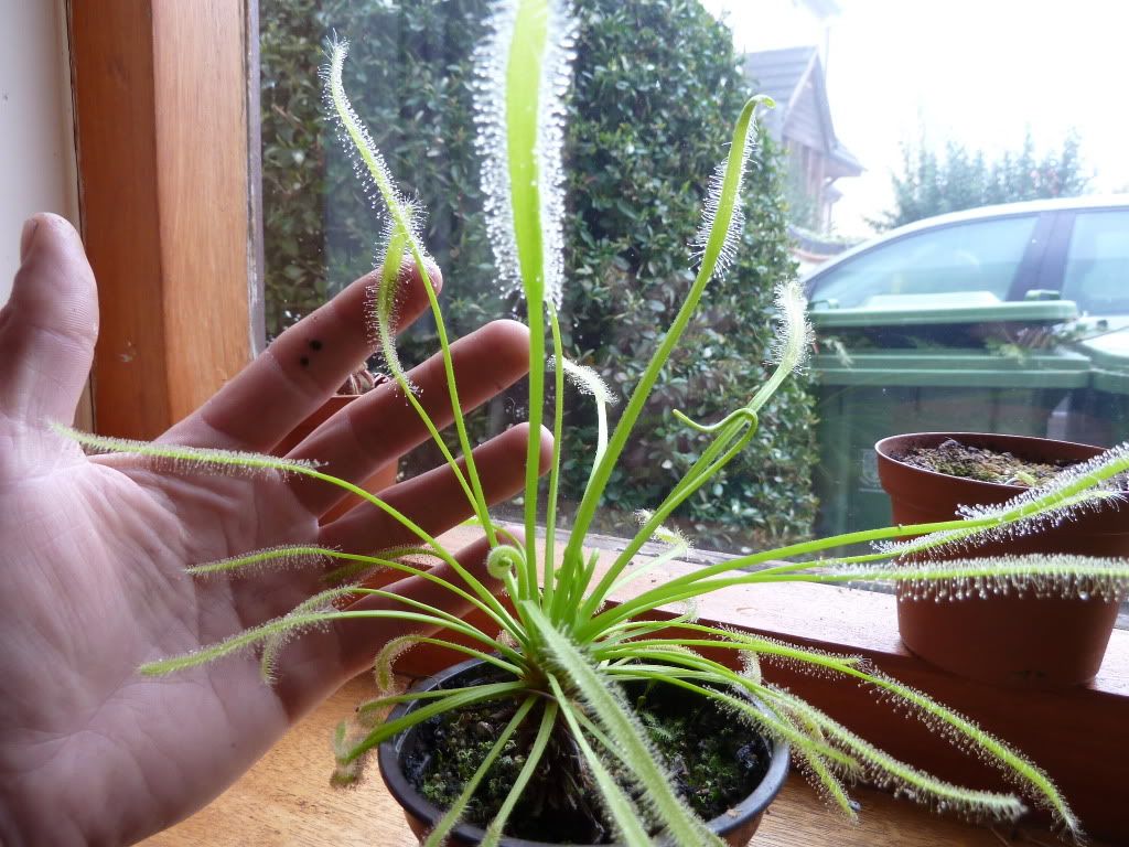 plants10032012012.jpg