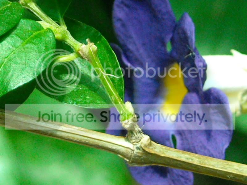 RSCN0284.jpg