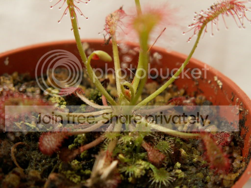 PICT0004.jpg