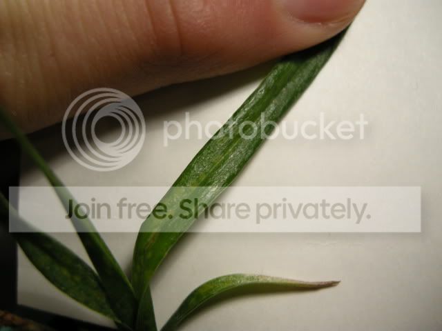 DSCN8752.jpg