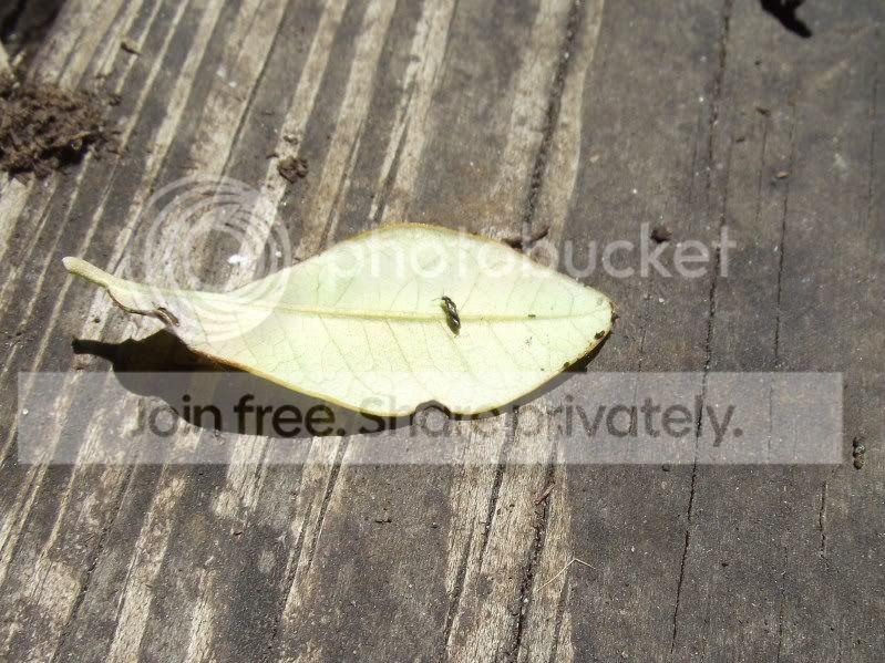 DSCF3995.jpg