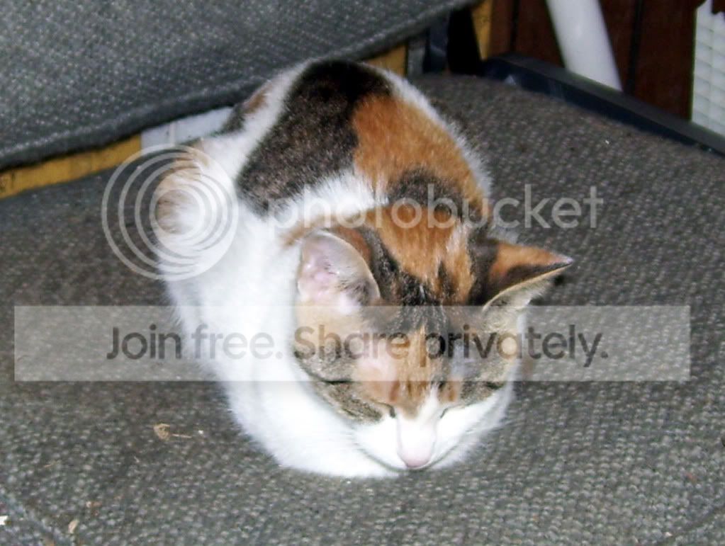 100_4242.jpg