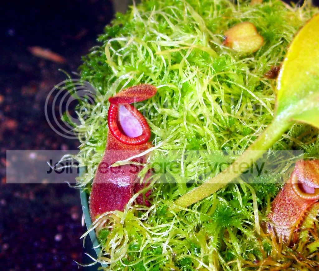 100_8361.jpg