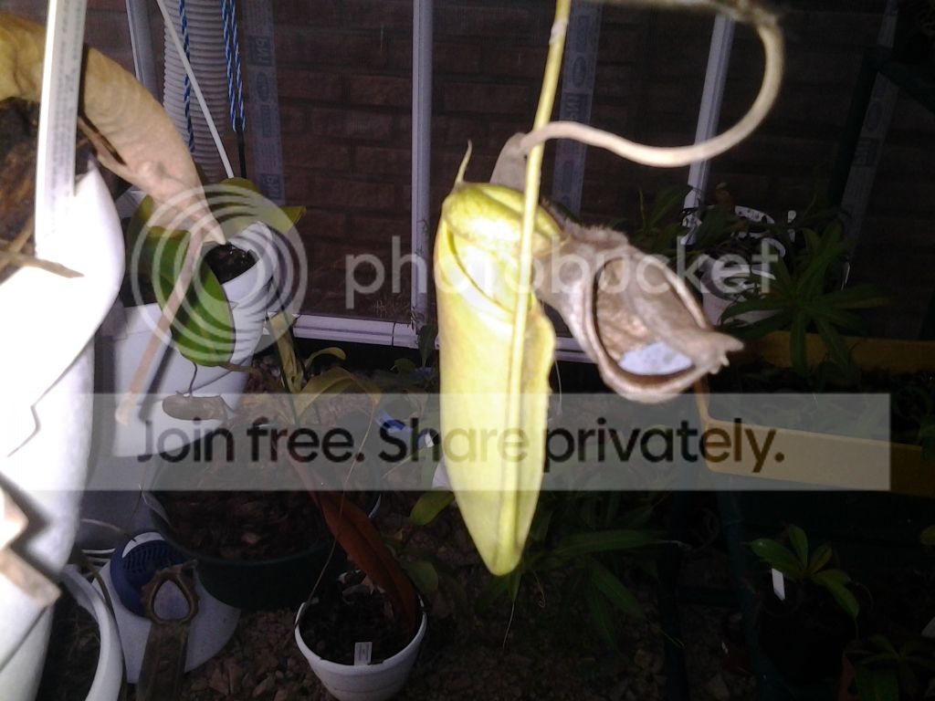 20120716_172830.jpg