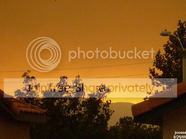 P8290045.jpg
