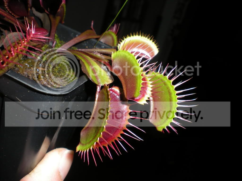 DSCN8690-1.jpg