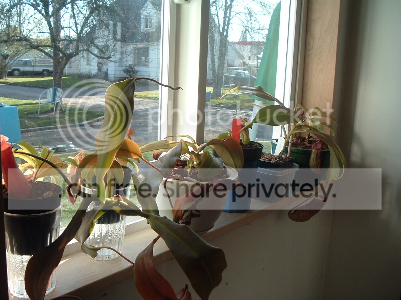 DSCF2602.jpg