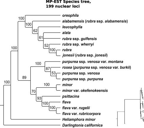 1-s2.0-S1055790315000330-gr1.jpg