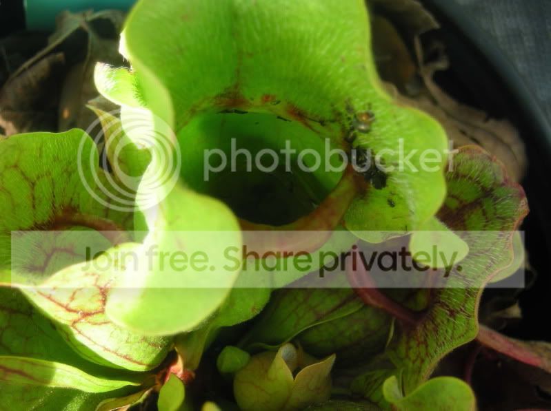 DSCN2283.jpg