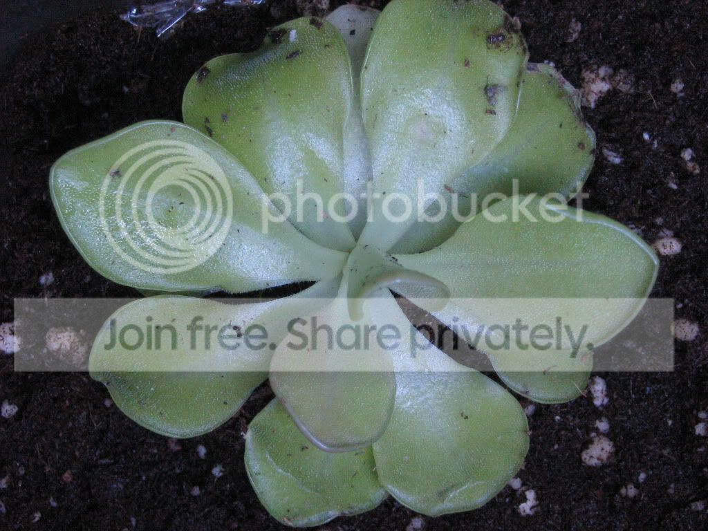 Picture009.jpg