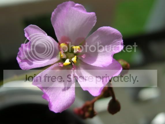 dscn2054.jpg