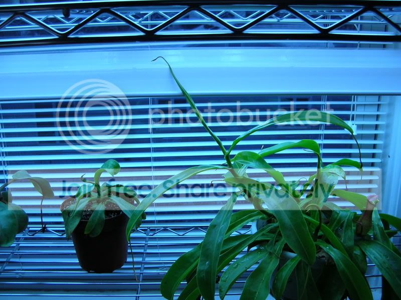 DSCN2517.jpg