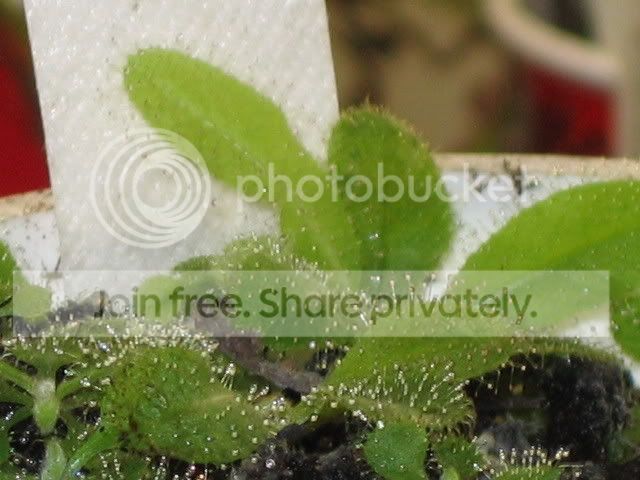 IMG_0050.jpg