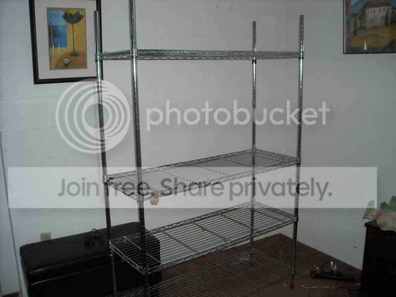 shelf.jpg