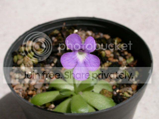 DSCN2096.jpg