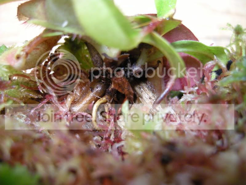 DSCN5749.jpg