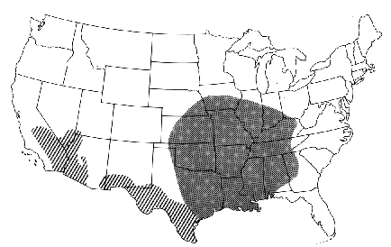 maps.gif