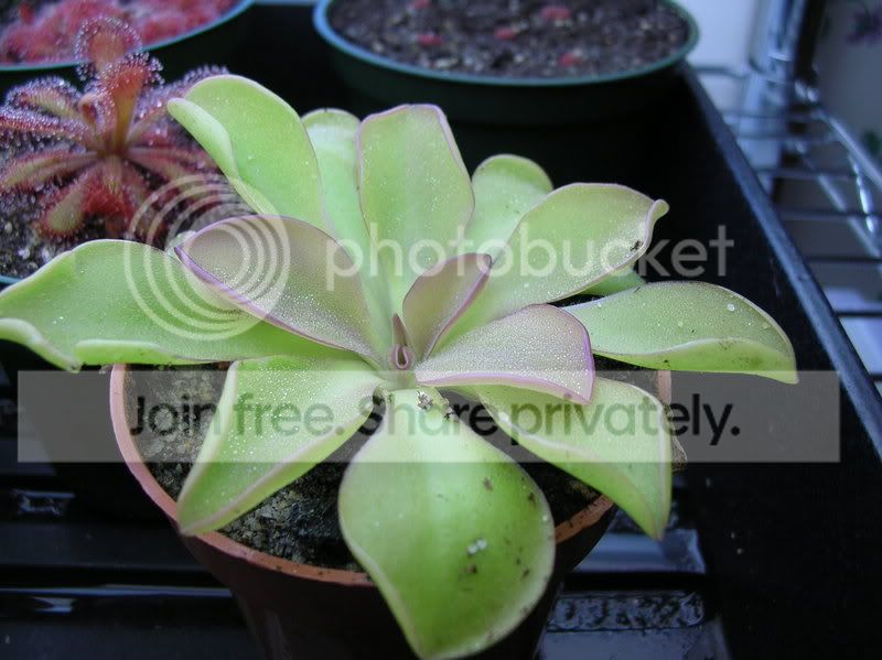 DSCN3553.jpg