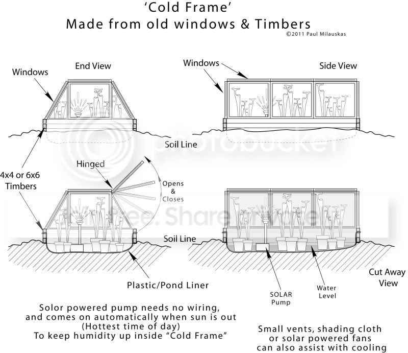 ColdFrame1.jpg