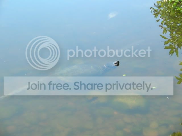DSCN4718.jpg
