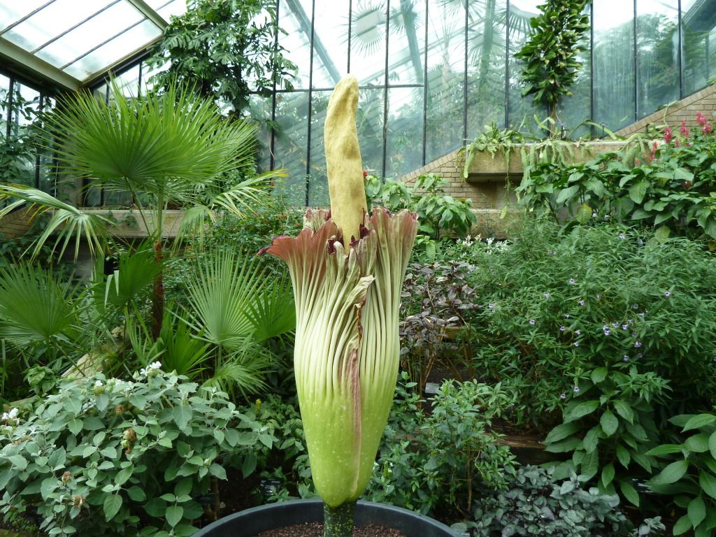 kewgardens300812058.jpg