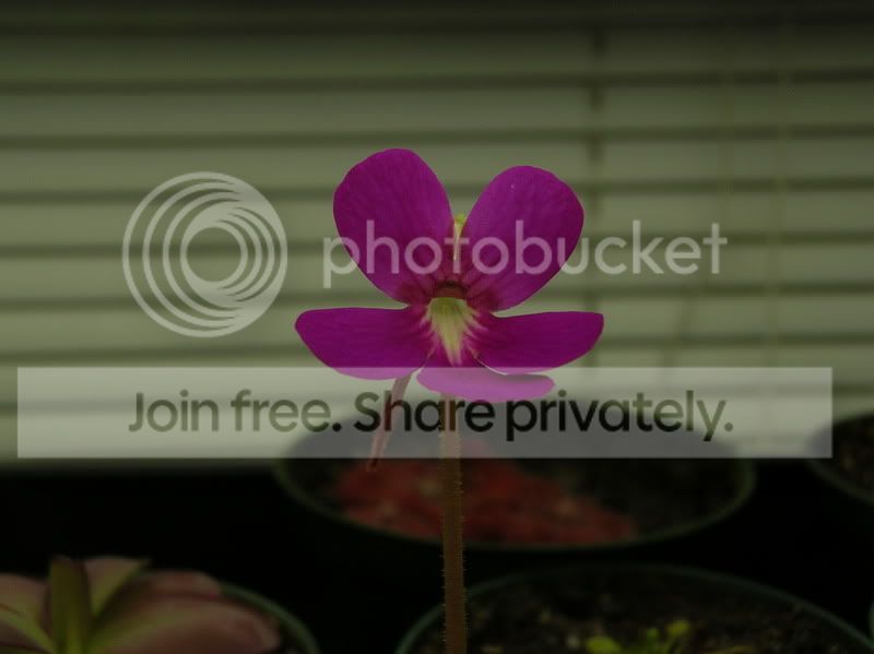 DSCN3231.jpg