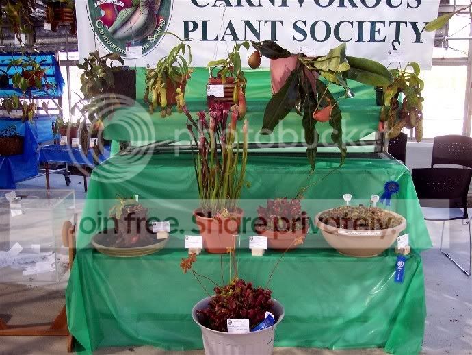 display1.jpg