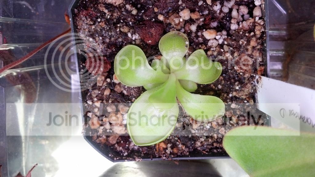 2012-06-12_15-51-52_42.jpg
