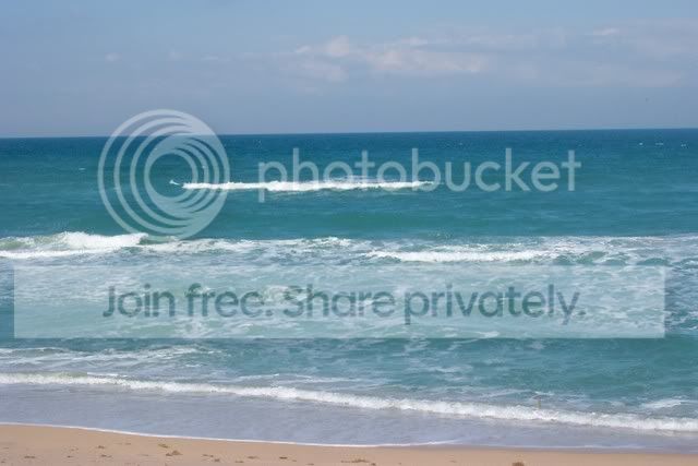Beachday2031.jpg