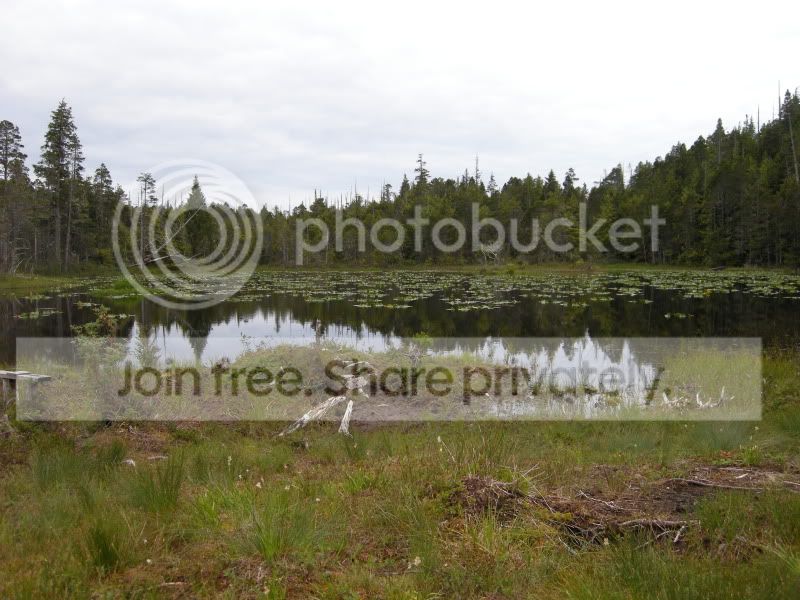 DSCN6115.jpg