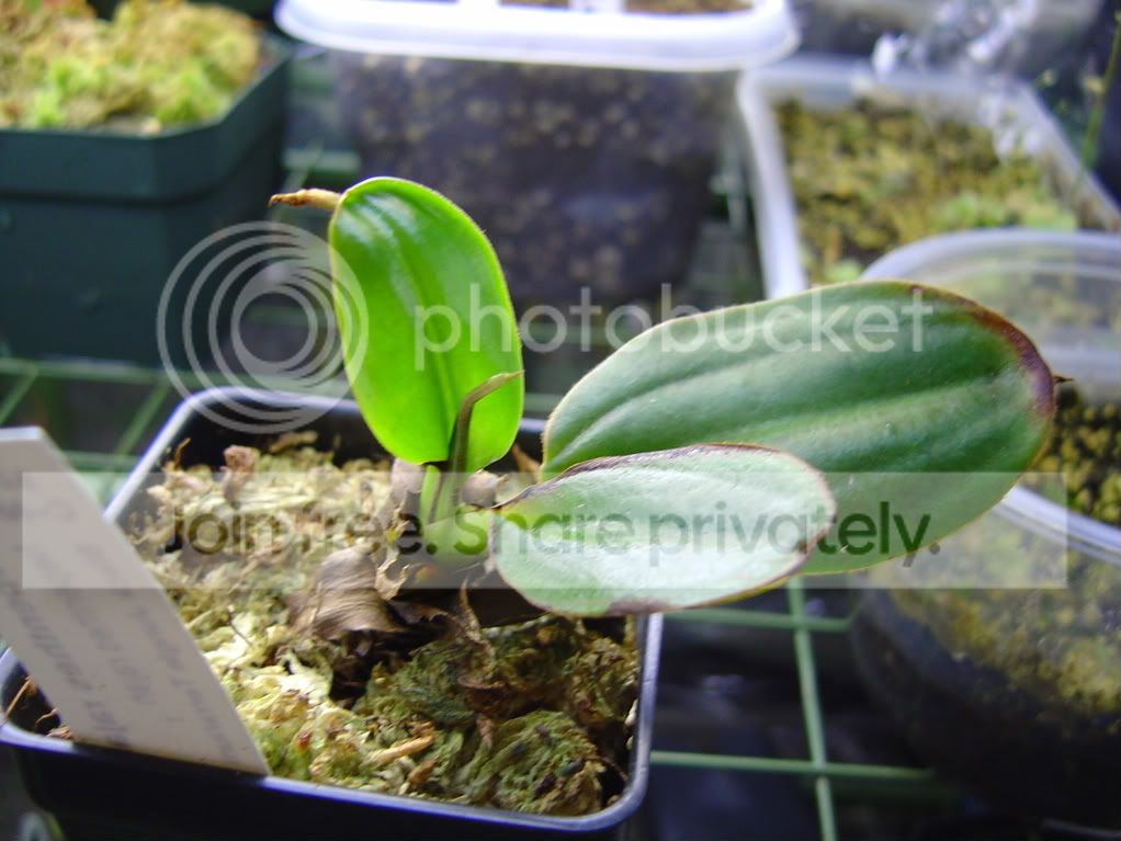 CPs1-4-09013.jpg