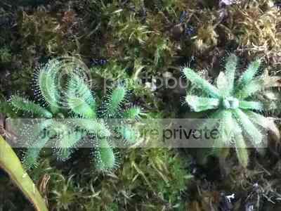 CameraZOOM-20120813220326251.jpg