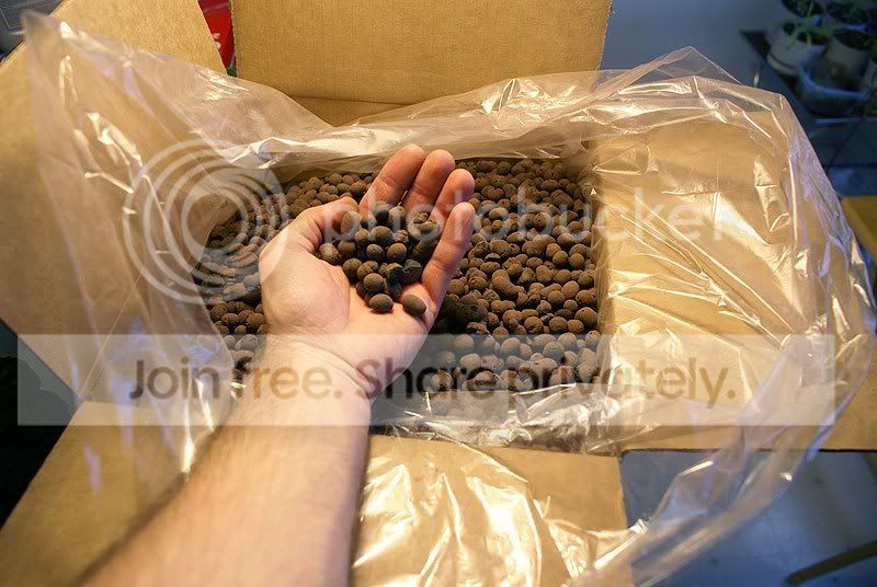 clayballs.jpg