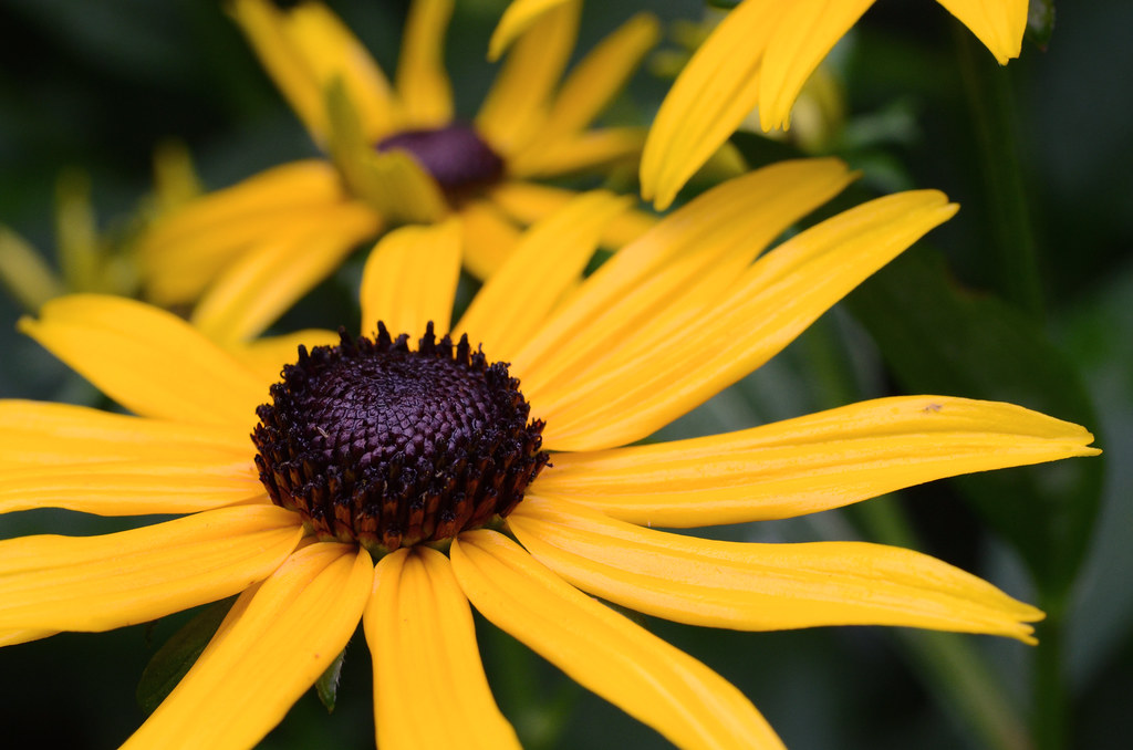 7691508412_f51a493394_b.jpg