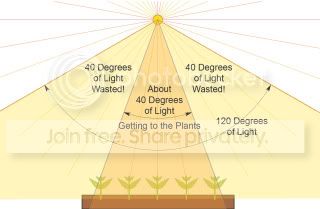 PlantLights-7.jpg